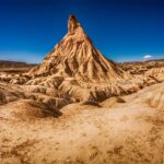 nature-pineartgallery